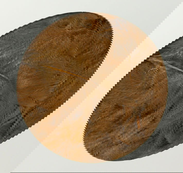 Decoratieveren Caramel - Kadopapier.net