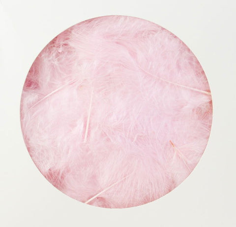 Decoratieveren Zacht Roze - Kadopapier.net Decoratieveren Zacht Roze - Kadopapier.net