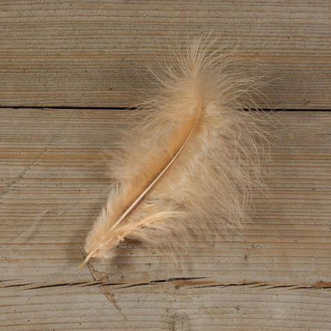 Decoratieveren Zalm - Kadopapier.net Decoratieveren Zalm - Kadopapier.net