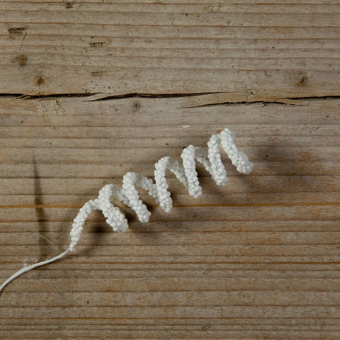 Kadodecoratie Curls pins Wit - Kadopapier.net Kadodecoratie Curls pins Wit - Kadopapier.net