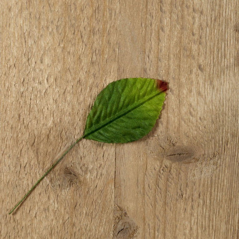 Zijden decoratie Blaadje Groen - Kadopapier.net Zijden decoratie Blaadje Groen - Kadopapier.net