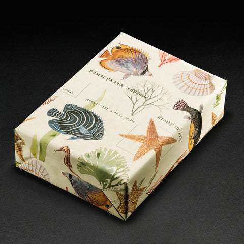 Geschenkpapier mit Meeresmotiven – Unterwasserabenteuer 