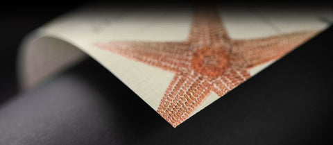 Geschenkpapier mit Meeresmotiven – Unterwasserabenteuer 