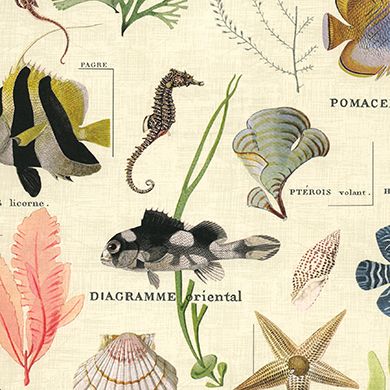 Geschenkpapier mit Meeresmotiven – Unterwasserabenteuer 