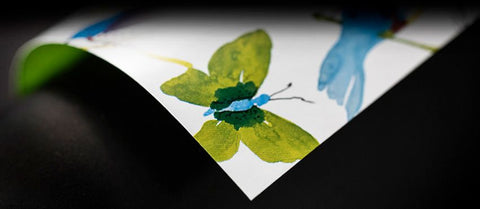 Birds & Blooms Inpakpapier – Vrolijk en Lenteachtig