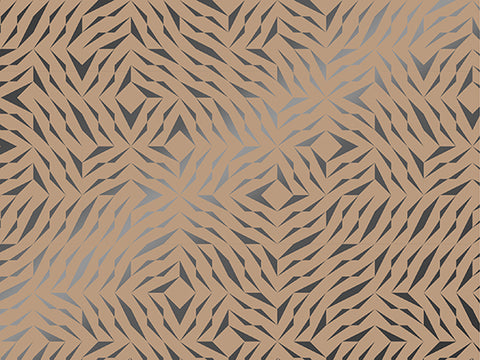 Vellen Inpakpapier Archimedes | 70*50cm | 2x 250 vellen