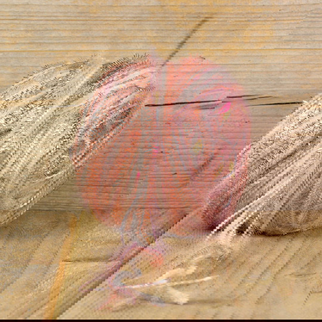 Re-use Kadolint Roze - Kadopapier.net